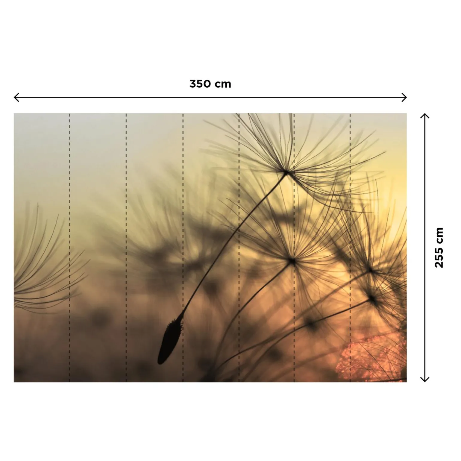Papier peint panoramique XL PURITY 350 x 255 cm - 4MURS