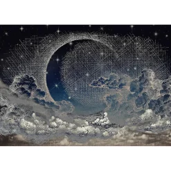 Papier peint panoramique XL MOONLIGHT 400 x 270 cm - 4MURS