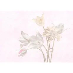 Papier peint panoramique XL TULIPANI 400 x 270 cm - 4MURS