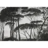Papier peint panoramique XL BOSQUET 400 x 270 cm anthracite - 4MURS