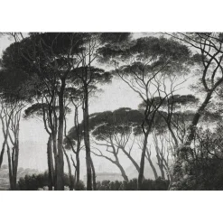 Papier peint panoramique XL BOSQUET 400 x 270 cm anthracite - 4MURS