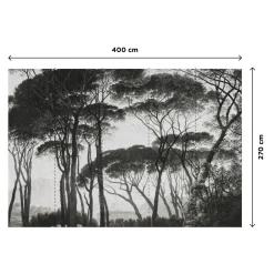 Papier peint panoramique XL BOSQUET 400 x 270 cm anthracite - 4MURS