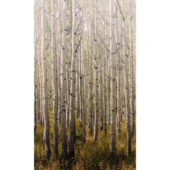 Papier peint panoramique L BIRCH TREE 159 x 280 cm - 4MURS