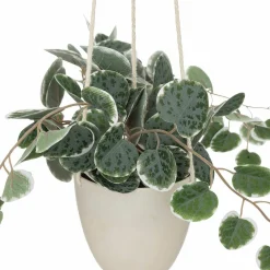 Plante artificielle CEROPEGIA coloris vert - 4MURS