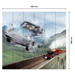 Poster extra large HARRY POTTER EN ROUTE POUR POUDLARD 300 x 280 cm
