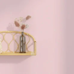 Poussière d'étoiles Peinture Peinture rose Adara 2 L - 4MURS