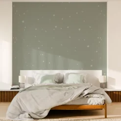Poussière d'étoiles Peinture Peinture vert Deneb 2 L - 4MURS