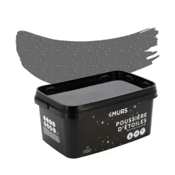 Poussière d'étoiles Peinture Peinture gris Canopus 2 L - 4MURS