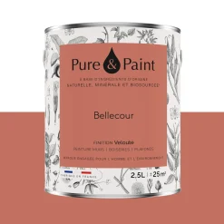 Pure and Paint Peinture Peinture BELLECOUR - 4MURS