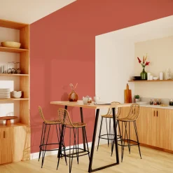 Pure and Paint Peinture Peinture BELLECOUR - 4MURS