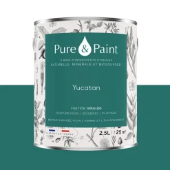 Pure and Paint Peinture Peinture Yucatan - 4MURS