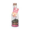 QUAI SUD Mélange pour cocktail MOJITO FRAISE - 4MURS