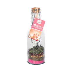 QUAI SUD Mélange pour cocktail MOJITO FRAISE - 4MURS