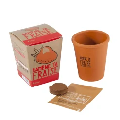 Radis et Capucine Kit RAMENE TA FRAISE coloris brun - 4MURS