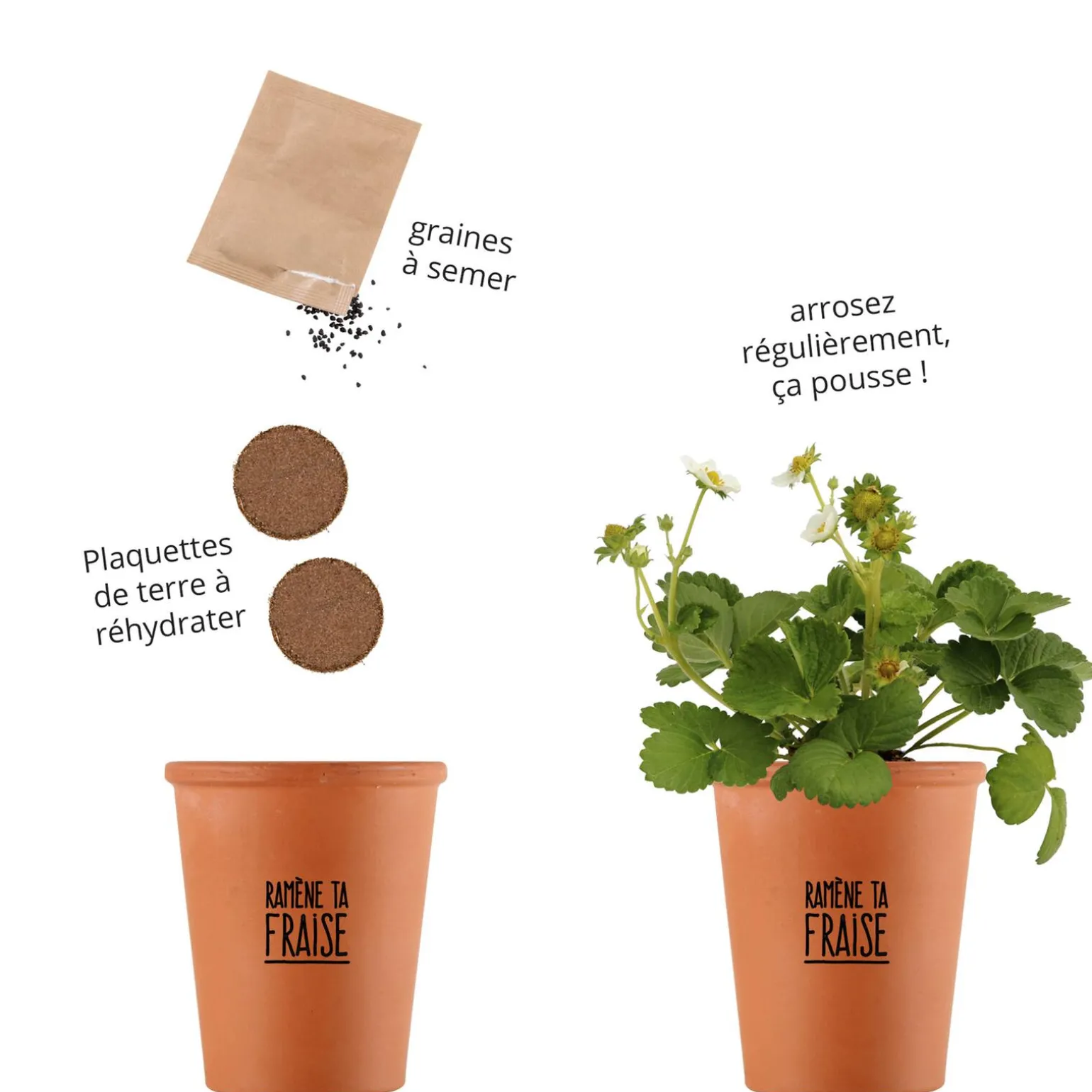 Radis et Capucine Kit RAMENE TA FRAISE coloris brun - 4MURS