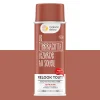 Relook tout aérosol Peinture Bombe de peinture terracotta Satiné 0,4 L