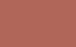 Relook tout aérosol Peinture Bombe de peinture terracotta Satiné 0,4 L