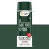 Relook tout aérosol Peinture Bombe de peinture vert foret Satiné 0,4 L