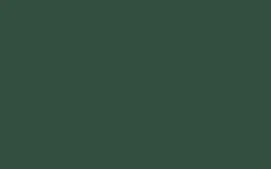 Relook tout aérosol Peinture Bombe de peinture vert foret Satiné 0,4 L