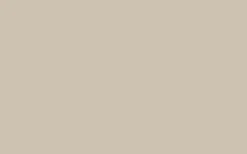 Relook tout aérosol Peinture Bombe de peinture kraft Satiné 0,4 L