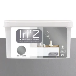 Richard Peinture IRIZ Peinture gris du Gabon Brillant 2 L - 4MURS