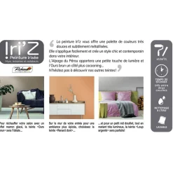 Richard Peinture IRIZ Peinture ours brun Brillant 2 L - 4MURS