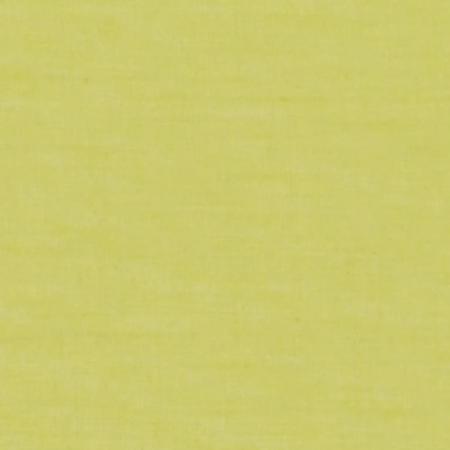 Store enrouleur EASY ROLL TAMISANT vert fougère 107 x 170 cm - 4MURS