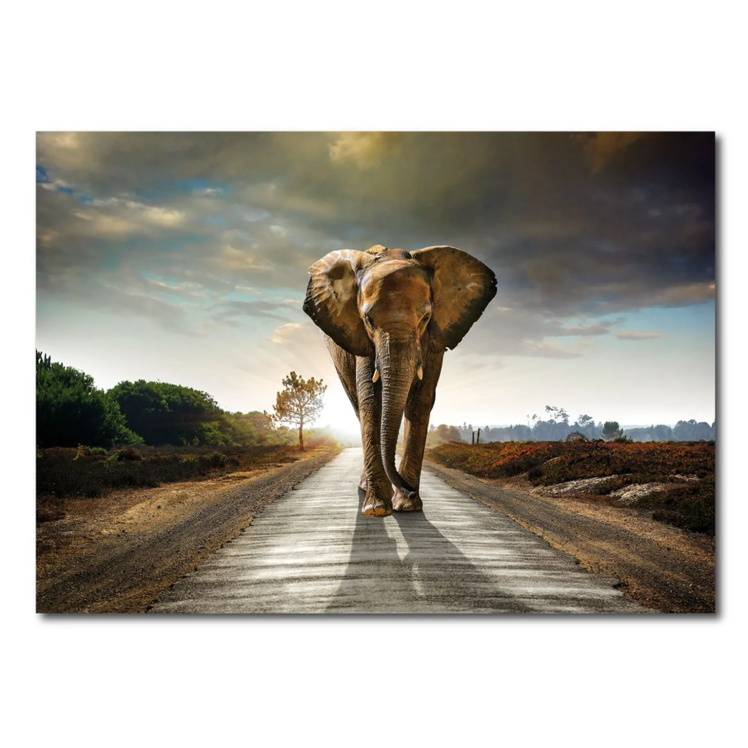 Tableau en verre GANAPATI 100 x 70 cm - 4MURS