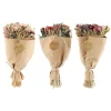 Temerity Jones Fleurs séchées TEODA - 4MURS