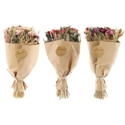 Temerity Jones Fleurs séchées TEODA - 4MURS