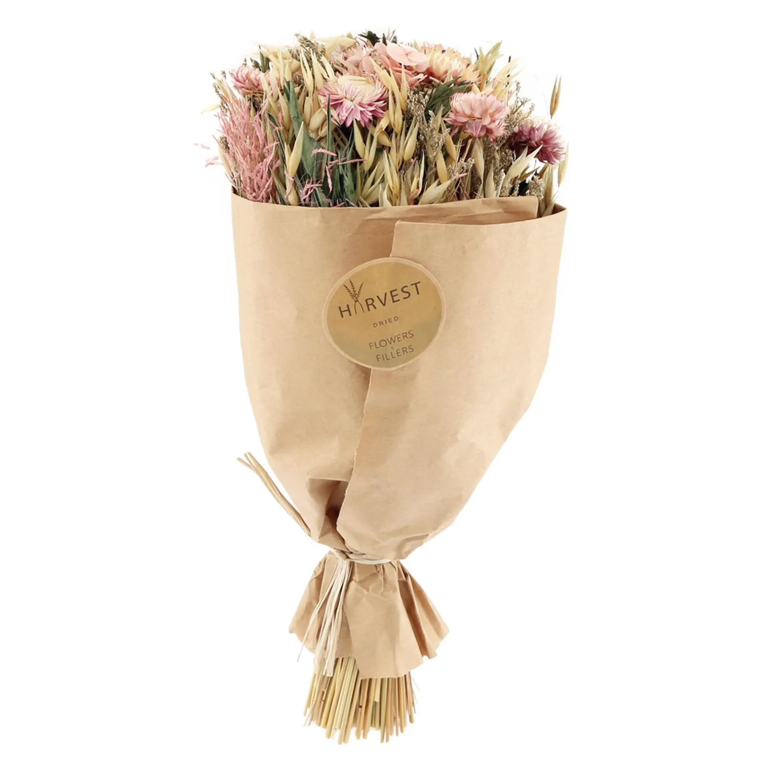 Temerity Jones Fleurs séchées TEODA - 4MURS