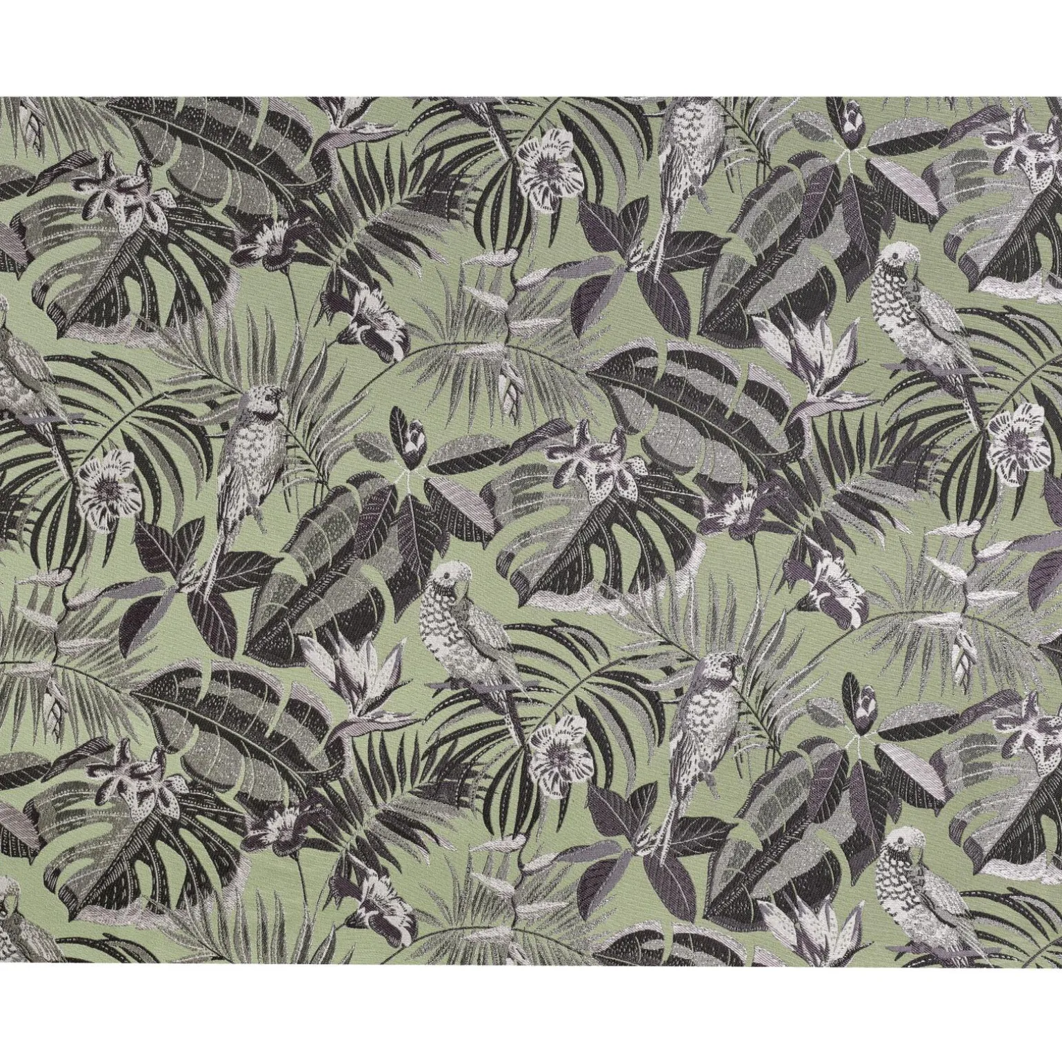 Tissu MADAGASCAR coloris vert amande - 4MURS